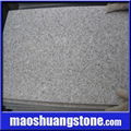 Granite Outdoor Tiles