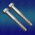 Hexagon screw spike 24x160 for subway