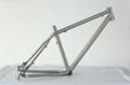 Titanium Bicycle frame 1