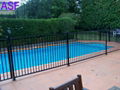 Pool Fencing 2