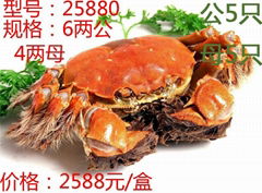 昆山九沐森阳澄湖大闸蟹25880