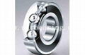 Deep Groove Ball Bearing 6313 (65*140*33) at stock