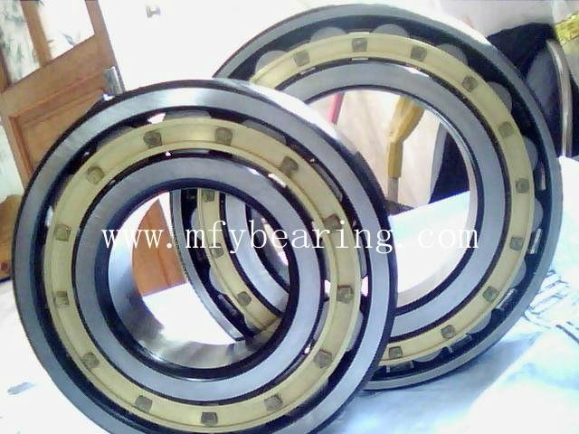 Full Complement Cylindrical Roller Bearing (RS5015PPNR)