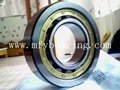 Full Complement Cylindrical Roller Bearing (RS5015PPNR) 2