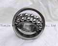 SKF Self-Aligning Ball Bearing 1207