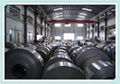 Stainless Steel Coil 304 