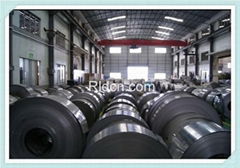 Stainless Steel Coil 304 