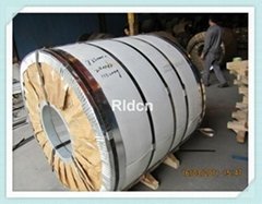 Stainless Steel coil 304J1 