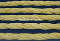 High-Molecular Polyethylene Fiber 1