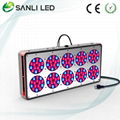 Top quality 450W LED Grow Lights with