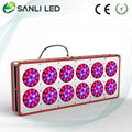 540W LED Grow Lights with customized wave length and color ration for plants 1