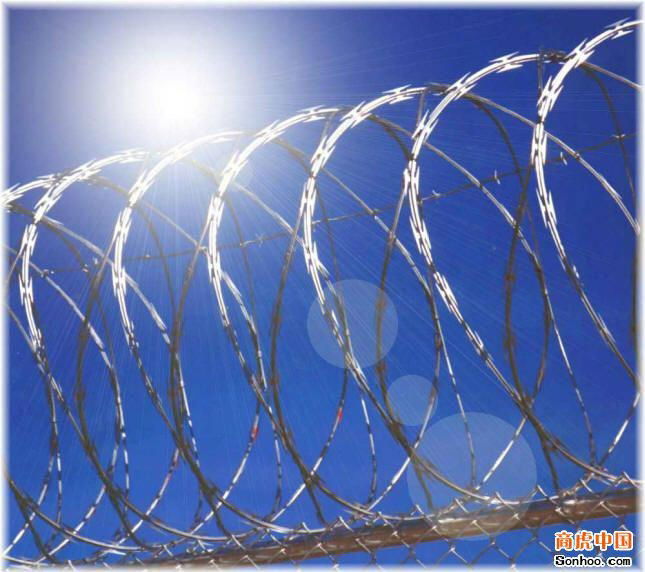 Razor Wire 