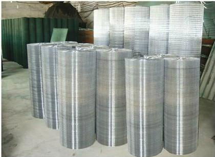 Welded Wire Mesh