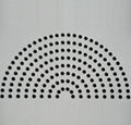 Perforated Metal Sheet