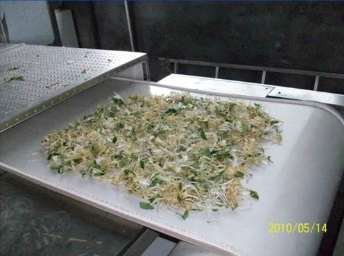 industrial conveyor belt type microwave oven for drying and sterilizing tea  2