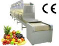 Microwave Beverage Sterilization Equipment  2