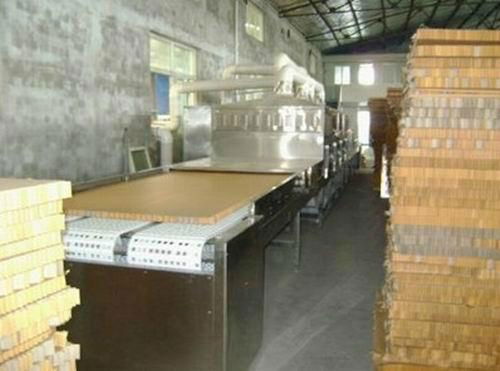 Tunnel type carboard microwave dehydration machine-wood dryer equipment