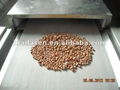 Tunnel nuts baking equipment-nut roaster equipment 1