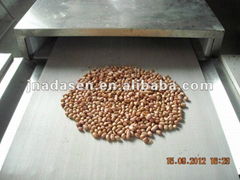 Tunnel nuts baking equipment-nut roaster equipment