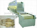 Microwave dryer machinery for squid