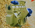 Wood Pelletizer Machine