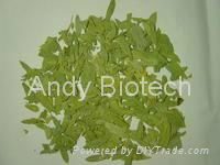 Aloe Vera Extract (Aloin 40%)  