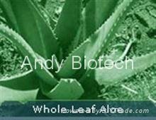 Aloe Vera Extract (Aloin 40%)   2