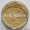 Green Coffee Bean Extract (50% Chlorogenic acids)   1