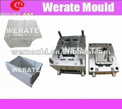 fridge mould 