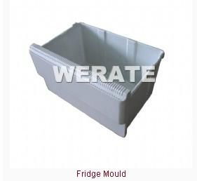 fridge mould  2