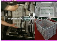 injection mold