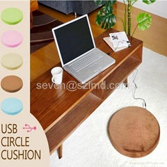 USB heat Japanese cushion