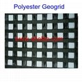 Polyester Geogrid 