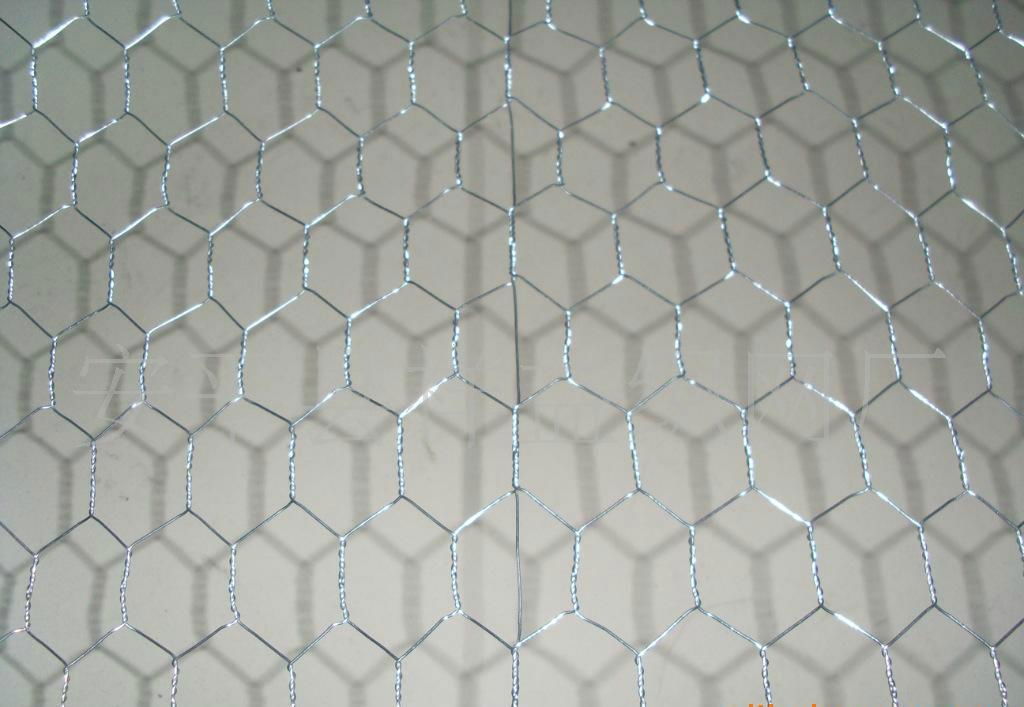 hexagonal wire mesh 2