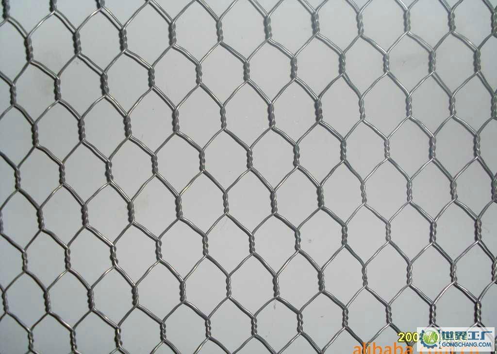 hexagonal wire mesh 3