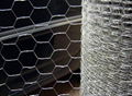 hexagonal wire mesh 4