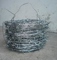 galvanized barbed iron wire