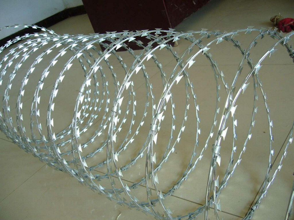 razor wire 