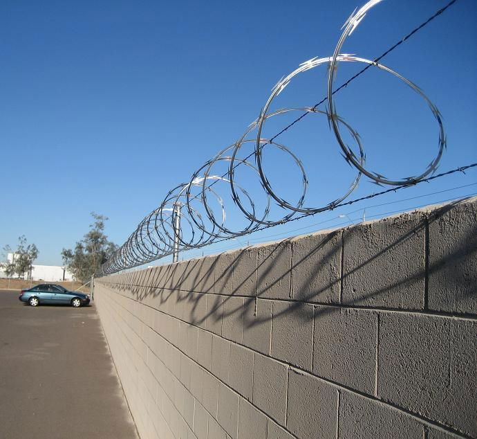 razor wire  3