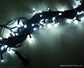 LED Christmas Light