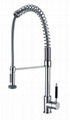  kitchen faucet with pull out spray（G16023）