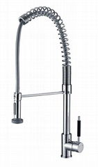  kitchen faucet with pull out spray（G16023）