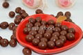 chocolate candy 1