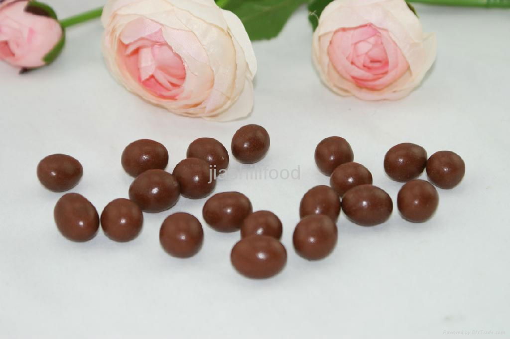 chocolate candy 2