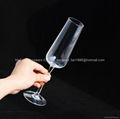 champagne glass 4