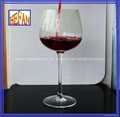 Burgundy Glass 2