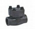 Forged steel socket weld or thread check valve