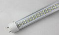 Hot sell Best quality Led T8 Tube 0.6M