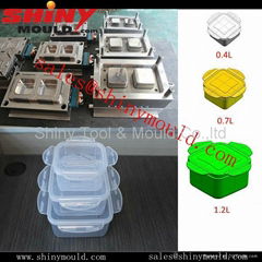 Plastic Injection Mould Food Container Mould