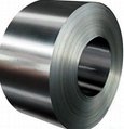 Cold Rolled Steel Coils  1
